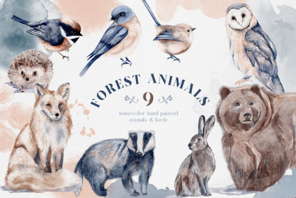 Download Watercolor Forest Animals Birds Owl - Forest animals Collection