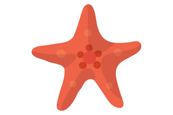 Download Starfish Color Icon. Red Sea Fauna Symbo - Premium Resources