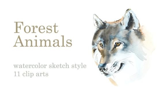 Download Watercolor Forest Animals - Forest animals Collection