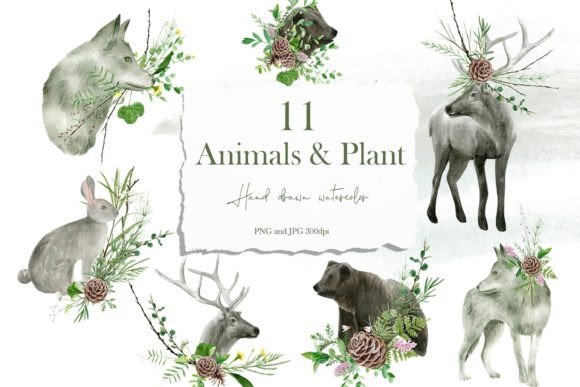Download Watercolor Forest Animals &amp; Wildflowers - Forest animals Collection